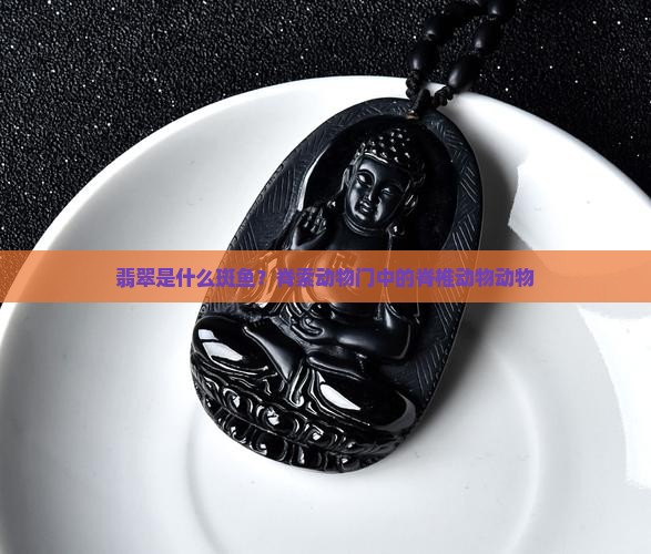 翡翠鱼是什么品种