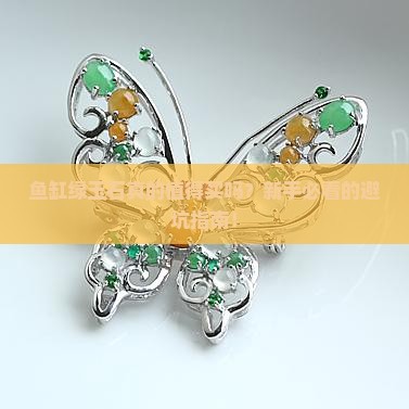 鱼缸绿玉石直播