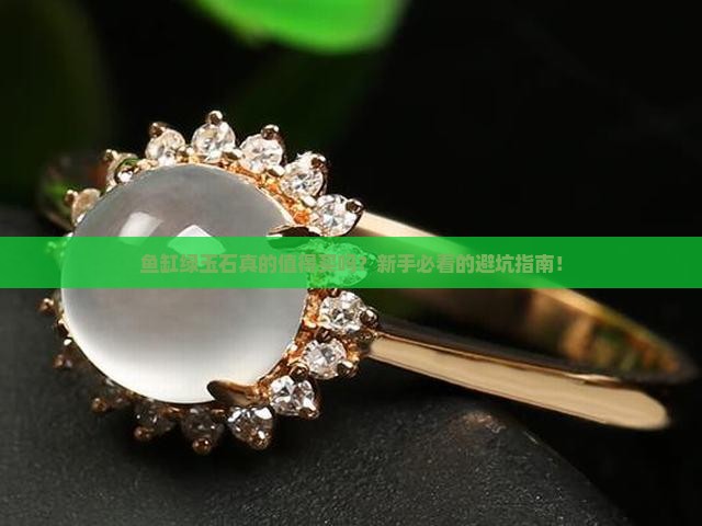 鱼缸绿玉石直播