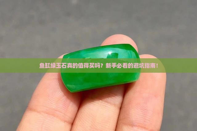 鱼缸绿玉石直播