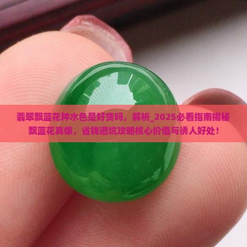 翡翠飘蓝花种水色是好货吗