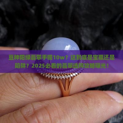 豆种阳绿翡翠手镯10w