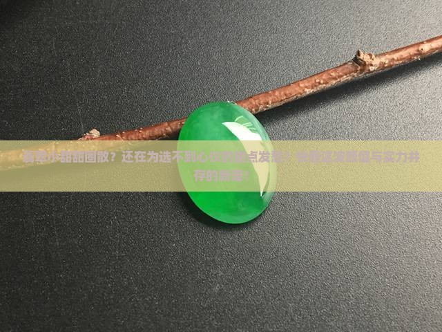 翡翠小甜甜圈散