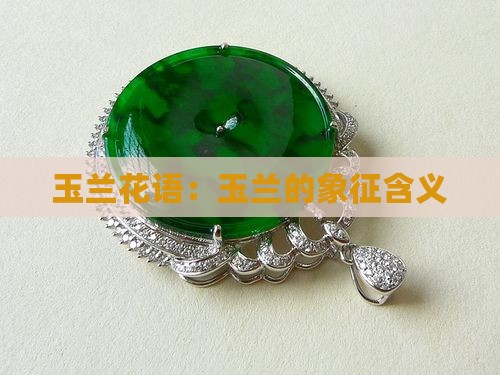玉蓝花含义是什么