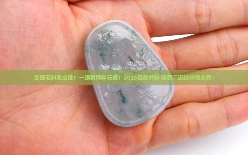 翡翠毛料怎么看有没有种元素
