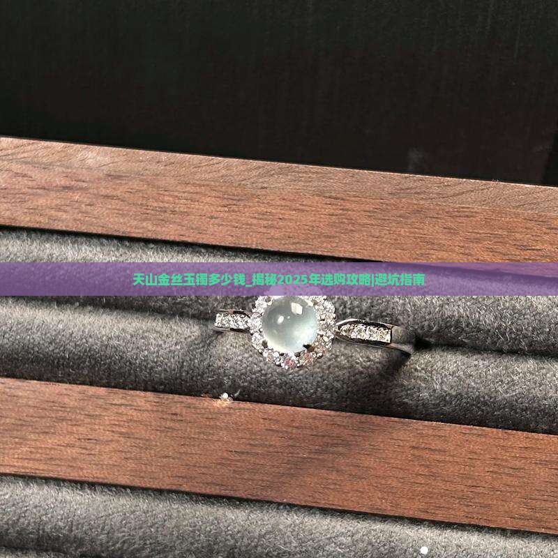 天山金丝玉镯多少钱