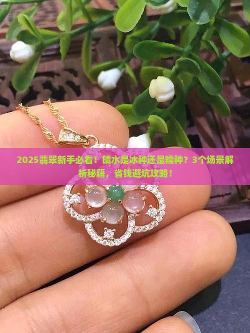 翡翠晴水是冰种还是糯种的