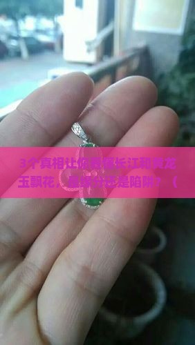 长江和黄龙玉飘花