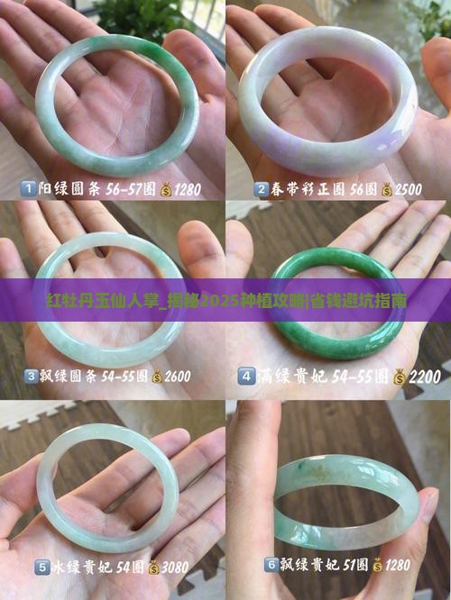 红牡丹玉仙人掌