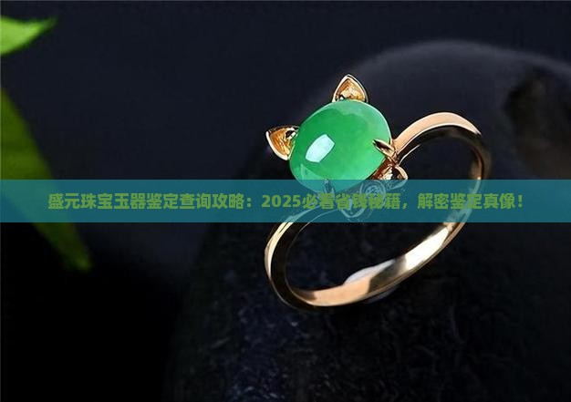 盛元珠宝玉器鉴定中心官网查询