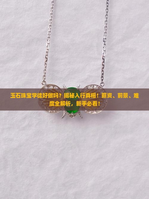 玉石珠宝学徒好做吗