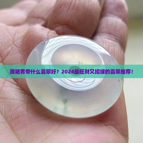 属猪男带什么翡翠好一点