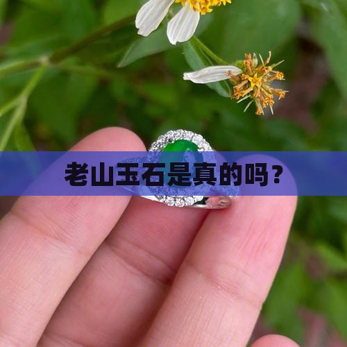 老山玉石是真的吗