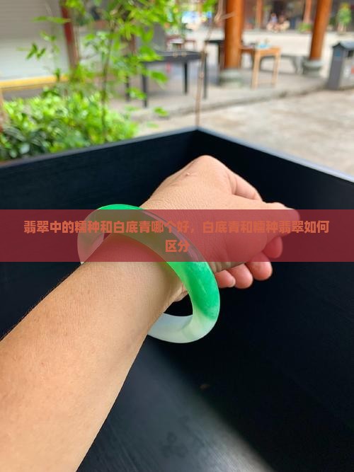 翡翠中的糯种和白底青哪个好