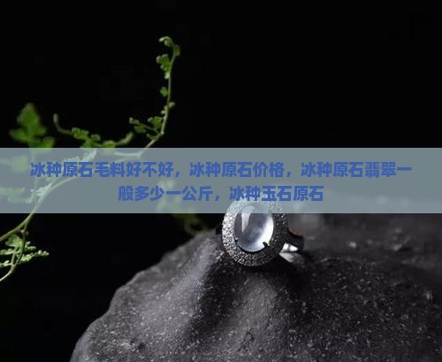 冰种原石毛料