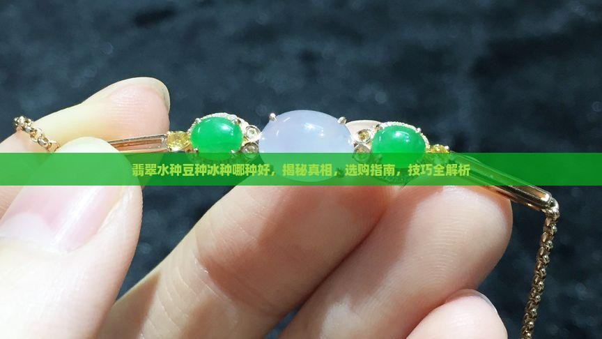 翡翠水种豆种冰种哪种好