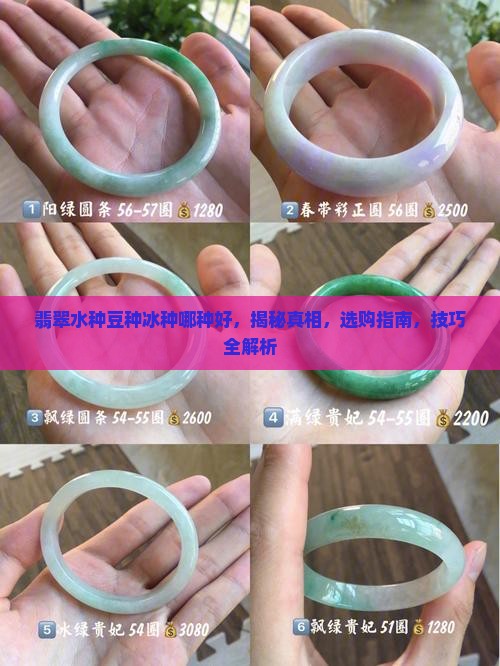 翡翠水种豆种冰种哪种好