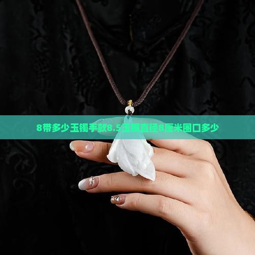 8带多少玉镯手款8.5玉镯直径8厘米圈口多少