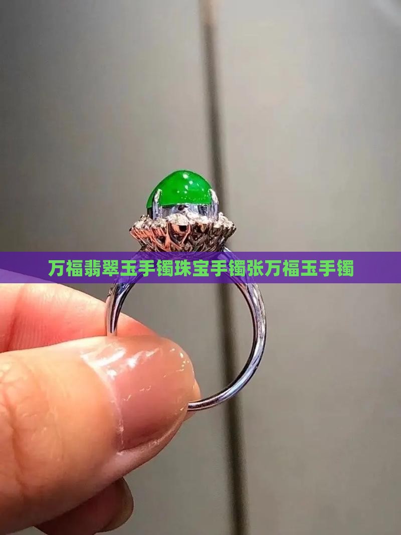 万福翡翠玉手镯珠宝手镯张万福玉手镯