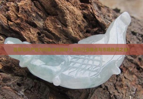 翡翠毛料产地为何集中在腾冲?揭开行业痛点与市场热词之谜! 翡翠毛料产地为何集中在腾冲?揭开行业痛点与市场热词之谜!