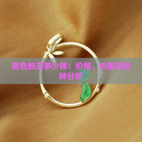黑色的玉多少钱：价格、价值及品种分析