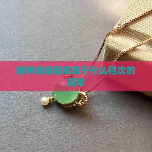 糯种满绿翡翠属于什么档次的翡翠
