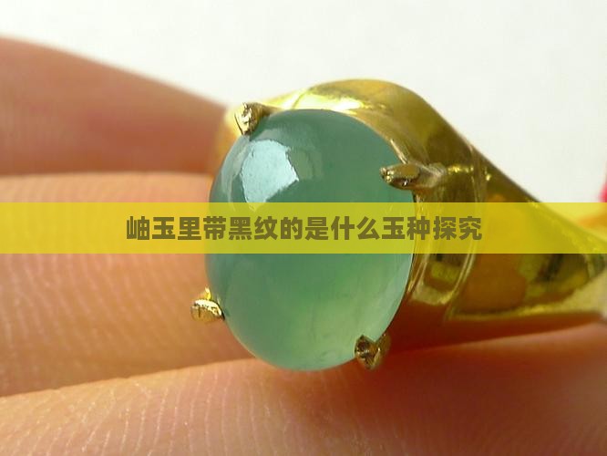 岫玉里带黑纹的是什么玉种探究