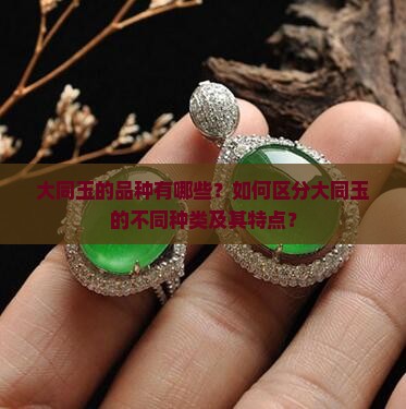 大同玉的品种有哪些？如何区分大同玉的不同种类及其特点？