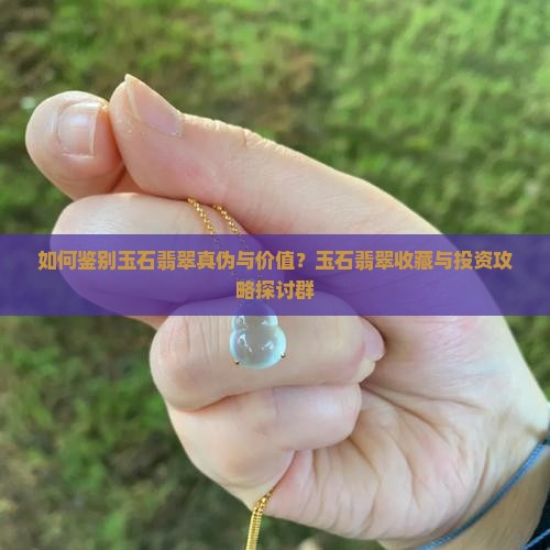 如何鉴别玉石翡翠真伪与价值？玉石翡翠收藏与投资攻略探讨群