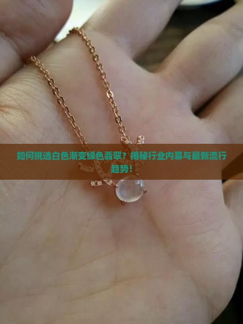 如何挑选白色渐变绿色翡翠？揭秘行业内幕与最新流行趋势！