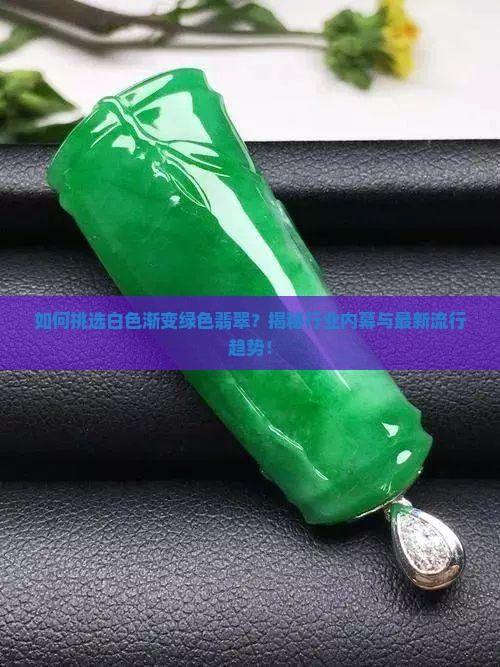如何挑选白色渐变绿色翡翠？揭秘行业内幕与最新流行趋势！