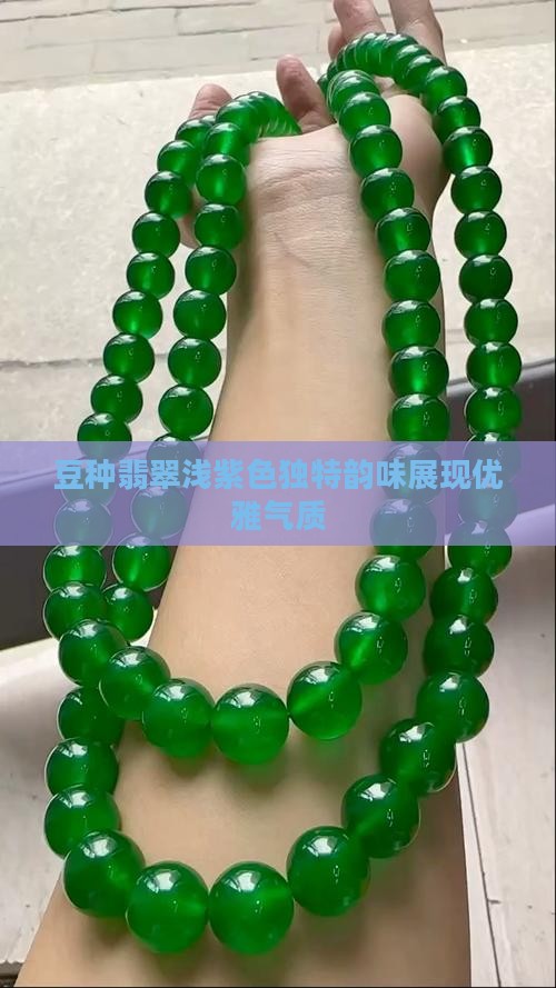 豆种翡翠浅紫色独特韵味展现优雅气质