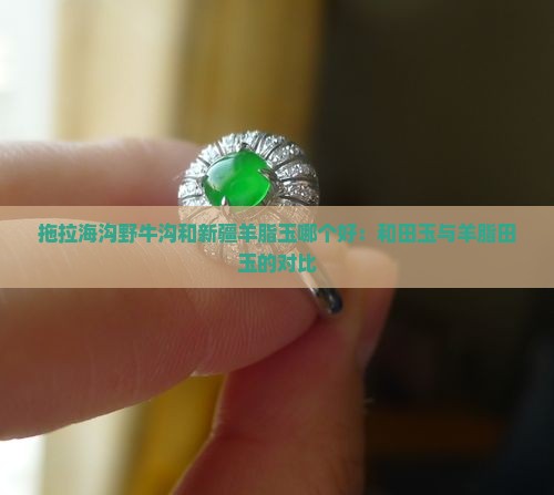拖拉海沟野牛沟和新疆羊脂玉哪个好：和田玉与羊脂田玉的对比