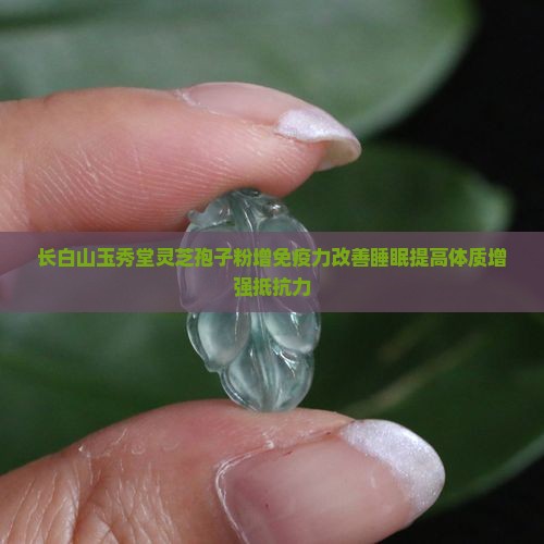 长白山玉秀堂灵芝孢子粉增免疫力改善睡眠提高体质增强抵抗力