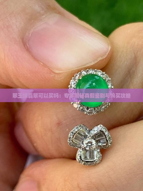 翠玉缘翡翠可以买吗：专家揭秘真假鉴别与购买攻略