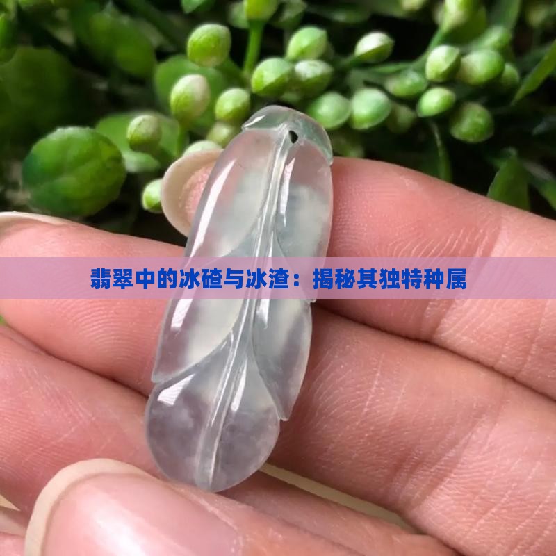 翡翠中的冰碴与冰渣：揭秘其独特种属