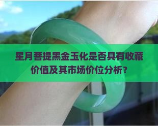 星月菩提黑金玉化是否具有收藏价值及其市场价位分析？
