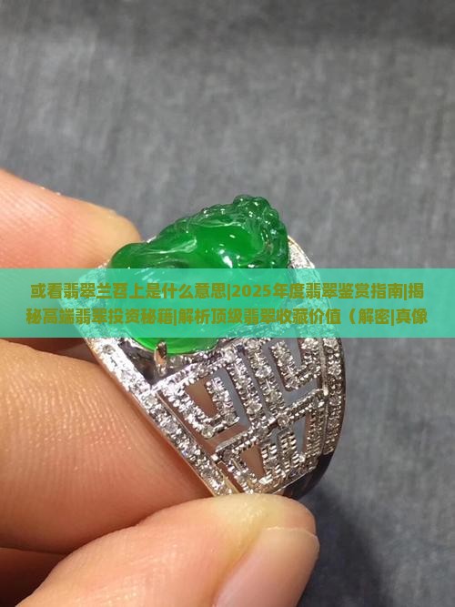 或看翡翠兰苕上是什么意思