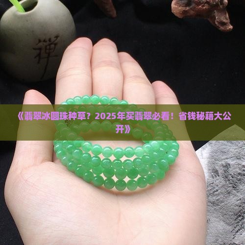 翡翠冰圆珠种草