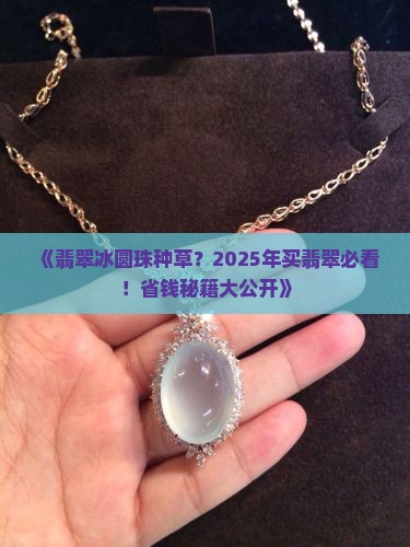 翡翠冰圆珠种草