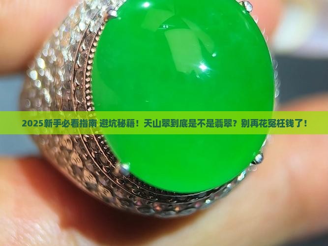 天山翠属于什么翡翠么