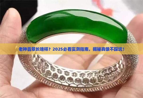 老种翡翠是什么样