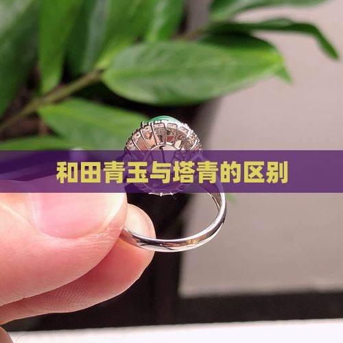 塔青和其它青玉的区别