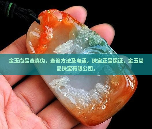 金玉尚品查真伪