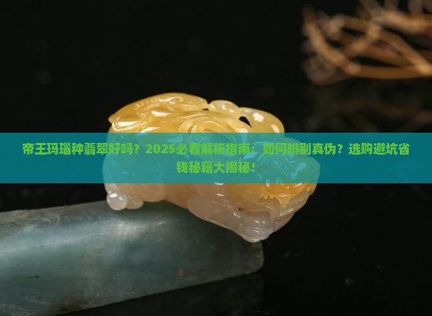 帝王玛瑙种翡翠好吗