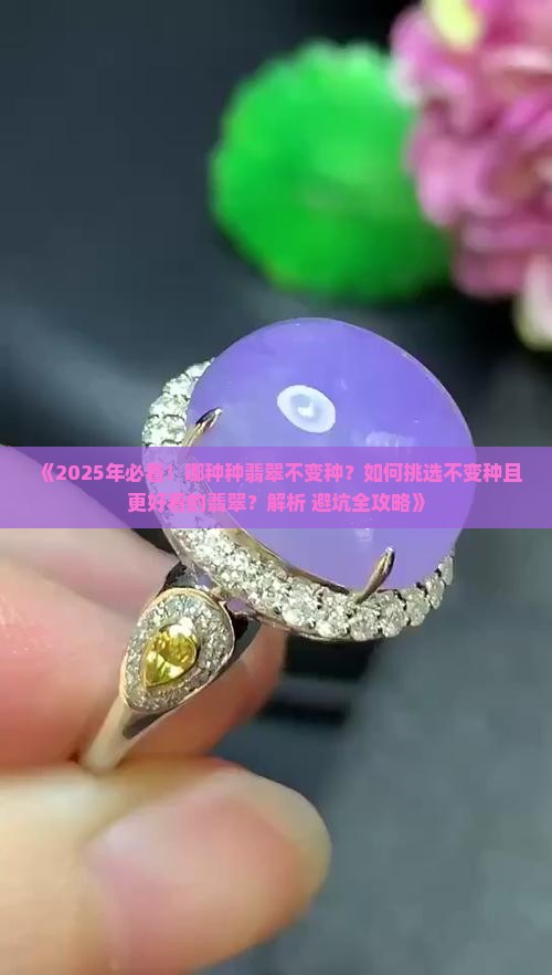 什么种翡翠不变种好看一点