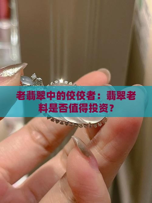 翡翠老料贵吗