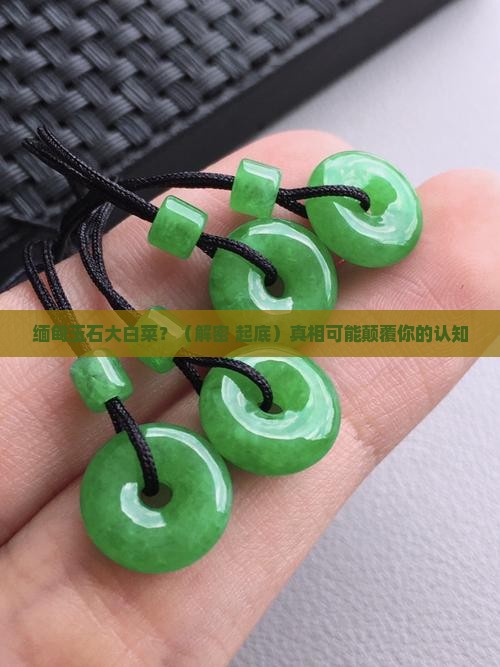 缅甸玉石大白菜
