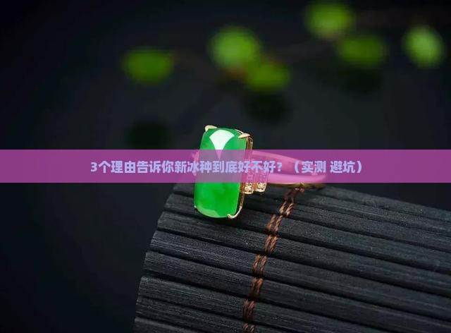 新冰种好不好呢