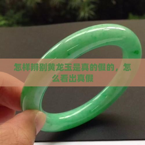 怎样辨别黄龙玉是真的假的